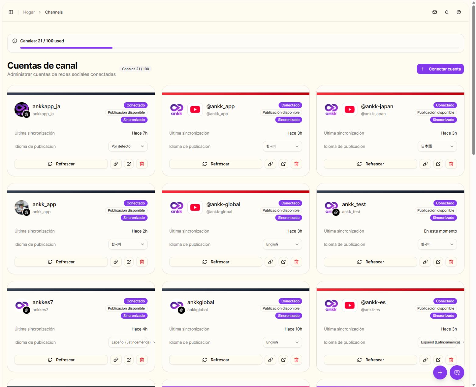 Espacio de trabajo actual de ANKK en español con cuentas públicas de la marca y sus estados de conexión