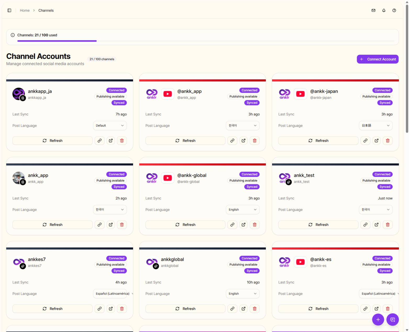 Current ANKK workspace in English showing public brand accounts and their connection states